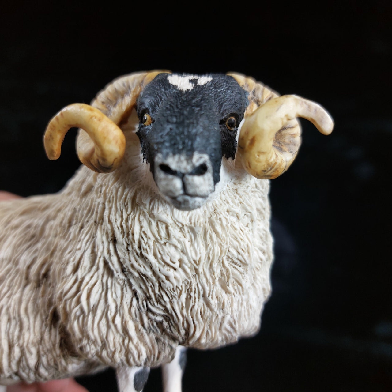 Border Fine Arts 1995 Black Faced Tup Figurine by Anne Wall The County Show13