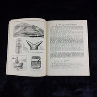 Thumbnail for Rare 1949  