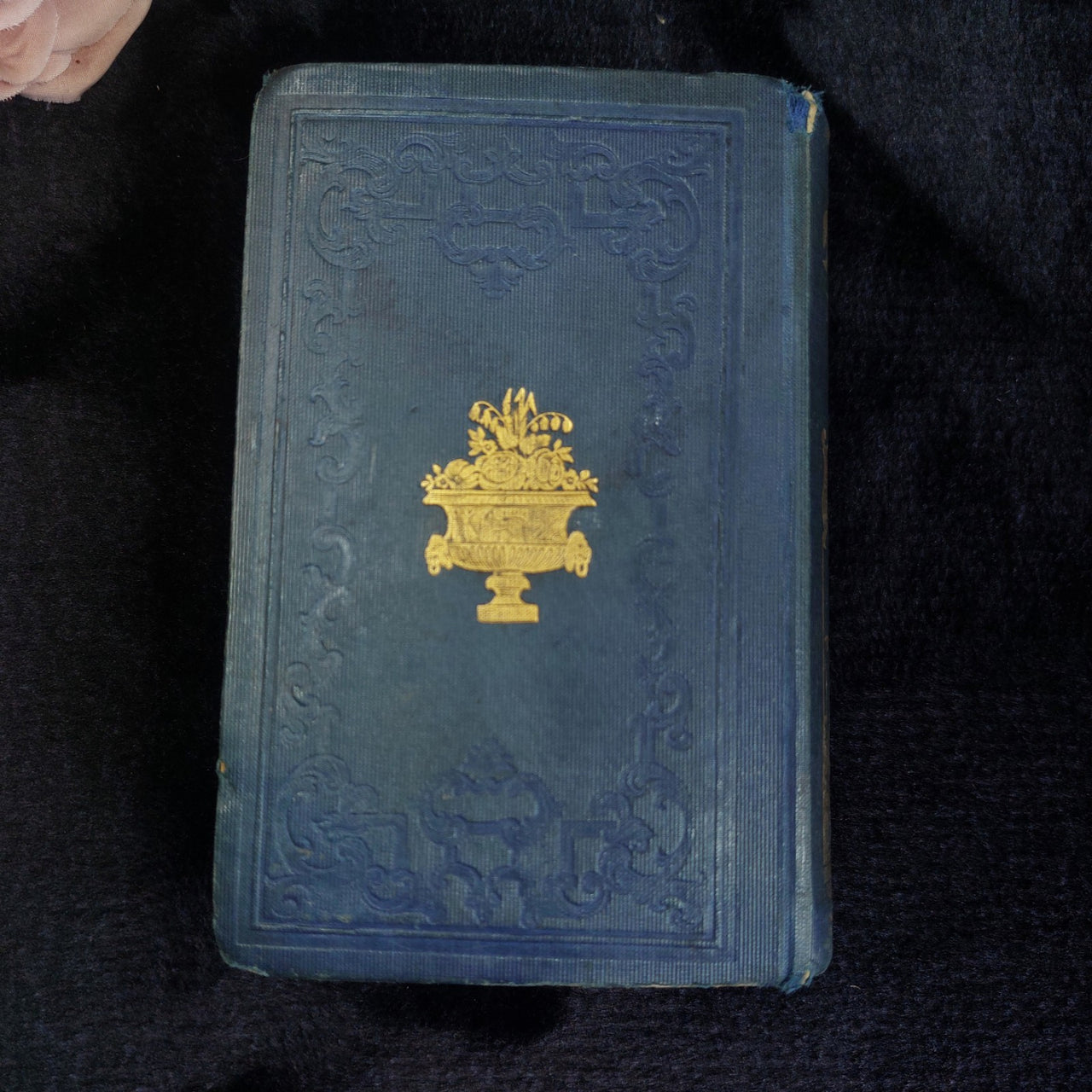 Robertson History Charles V Book Acceptable  1845  Worn Gold Gilt Spine Halifax3