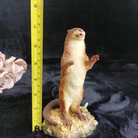 Thumbnail for Artists Country Otter Signed Victor Griffiths Figurine Wildlife Sculpture 7in de3