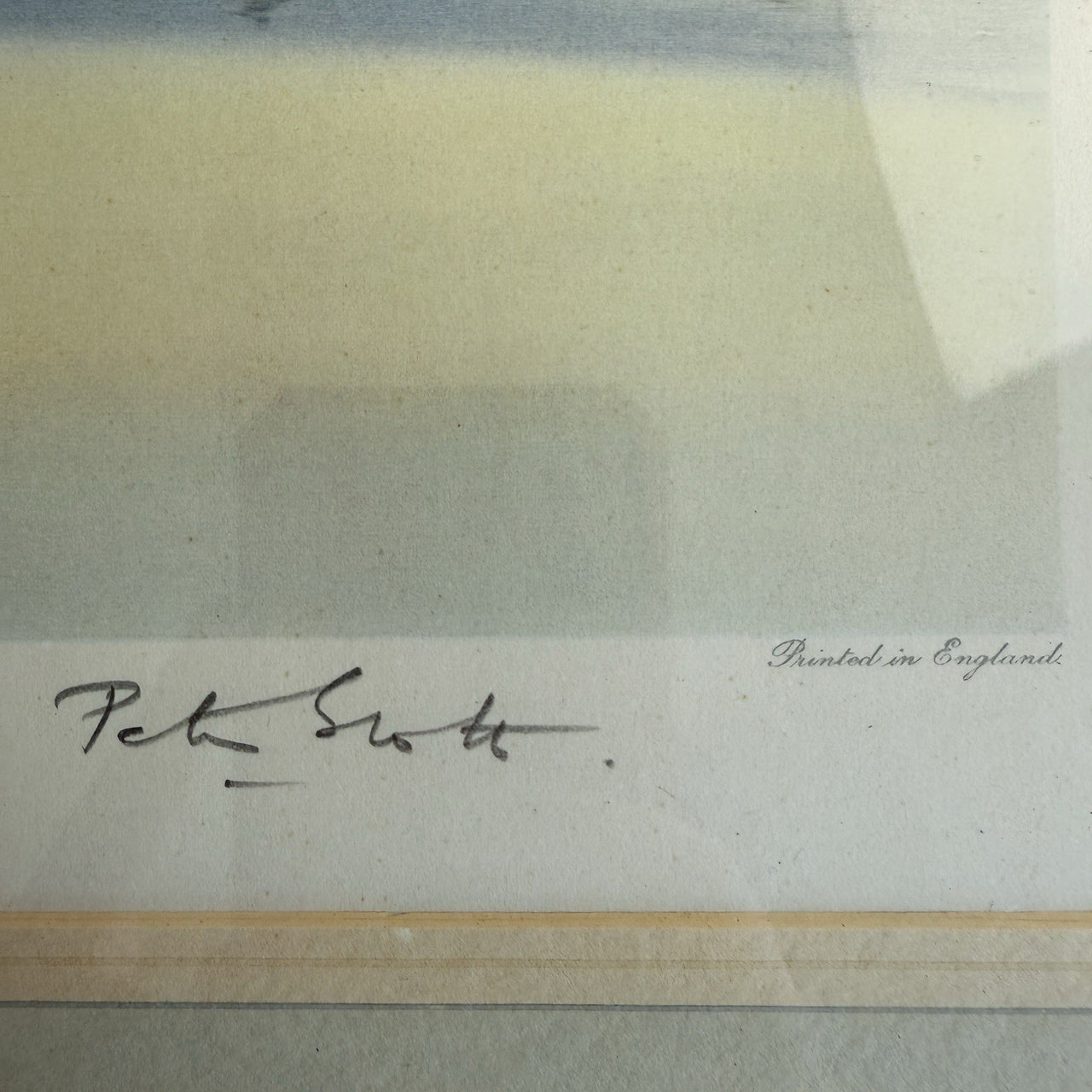 Limited "High Edition Tide and Wild Swans" Signed Proof by Sir Peter Scott 193612