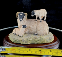 Thumbnail for Border Fine Arts King of the Castle JH37 1989 Figurine Sheep D. Walton J Herriot2
