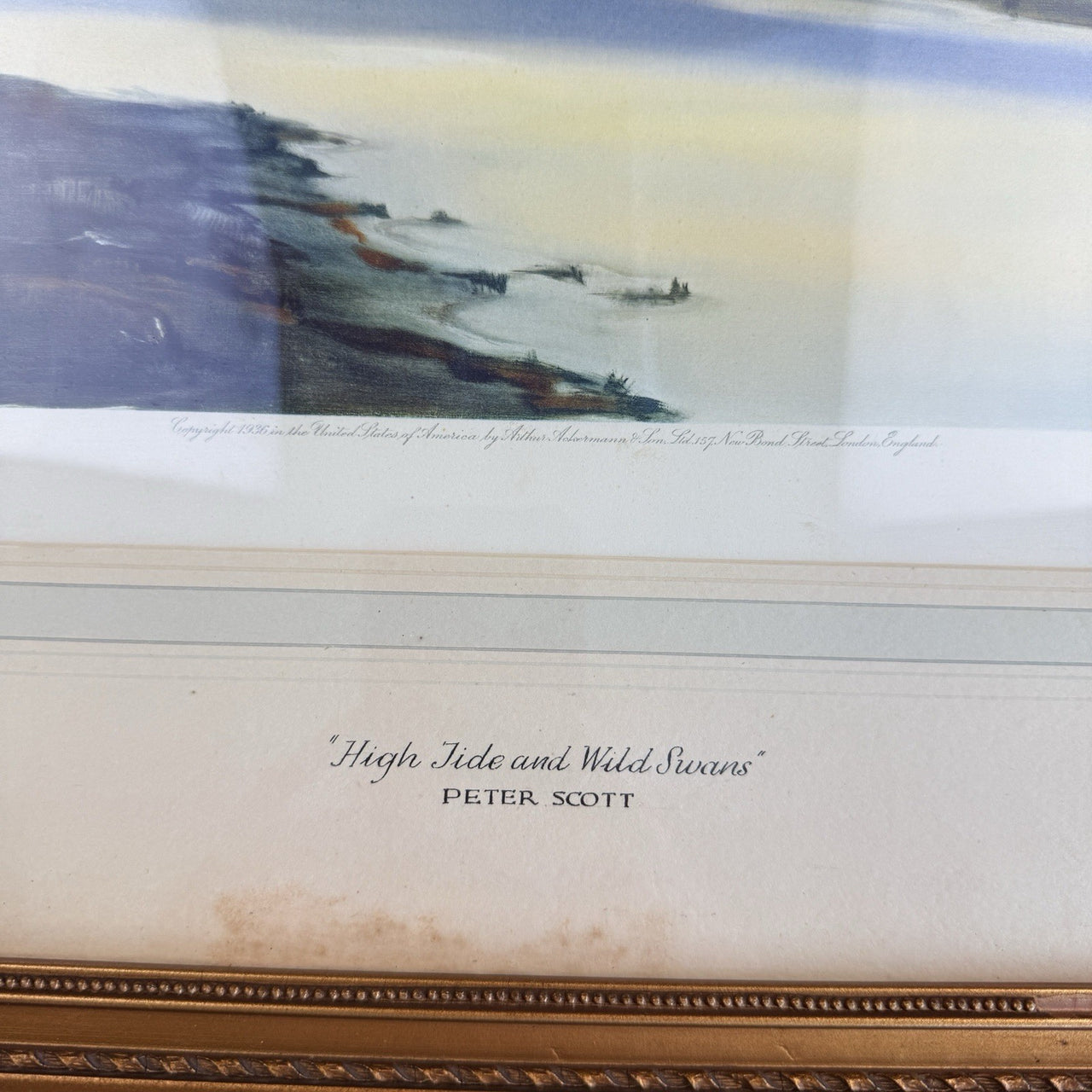 Limited "High Edition Tide and Wild Swans" Signed Proof by Sir Peter Scott 19367