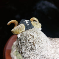 Thumbnail for Border Fine Arts 1995 Black Faced Tup Figurine by Anne Wall The County Show12