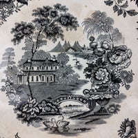 Thumbnail for Antique (1850-1890) Victorian J.C. & S. 