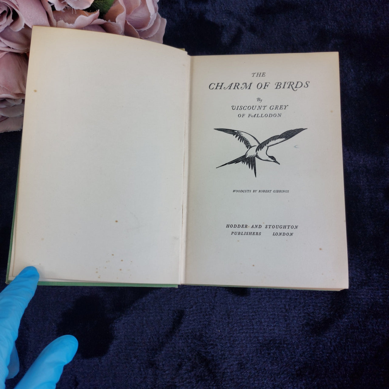 Grey of Fallodon Charm of Birds Hardcover 3rd 1927 Impression Ornithology book6