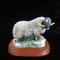 Thumbnail for Border Fine Arts 1995 Black Faced Tup Figurine by Anne Wall The County Show1