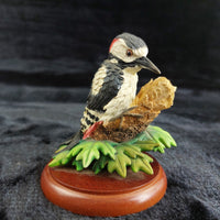 Thumbnail for Border Fine Arts Great Spotted Woodpecker A0409 Russell Willis 2000 Figurine dec1