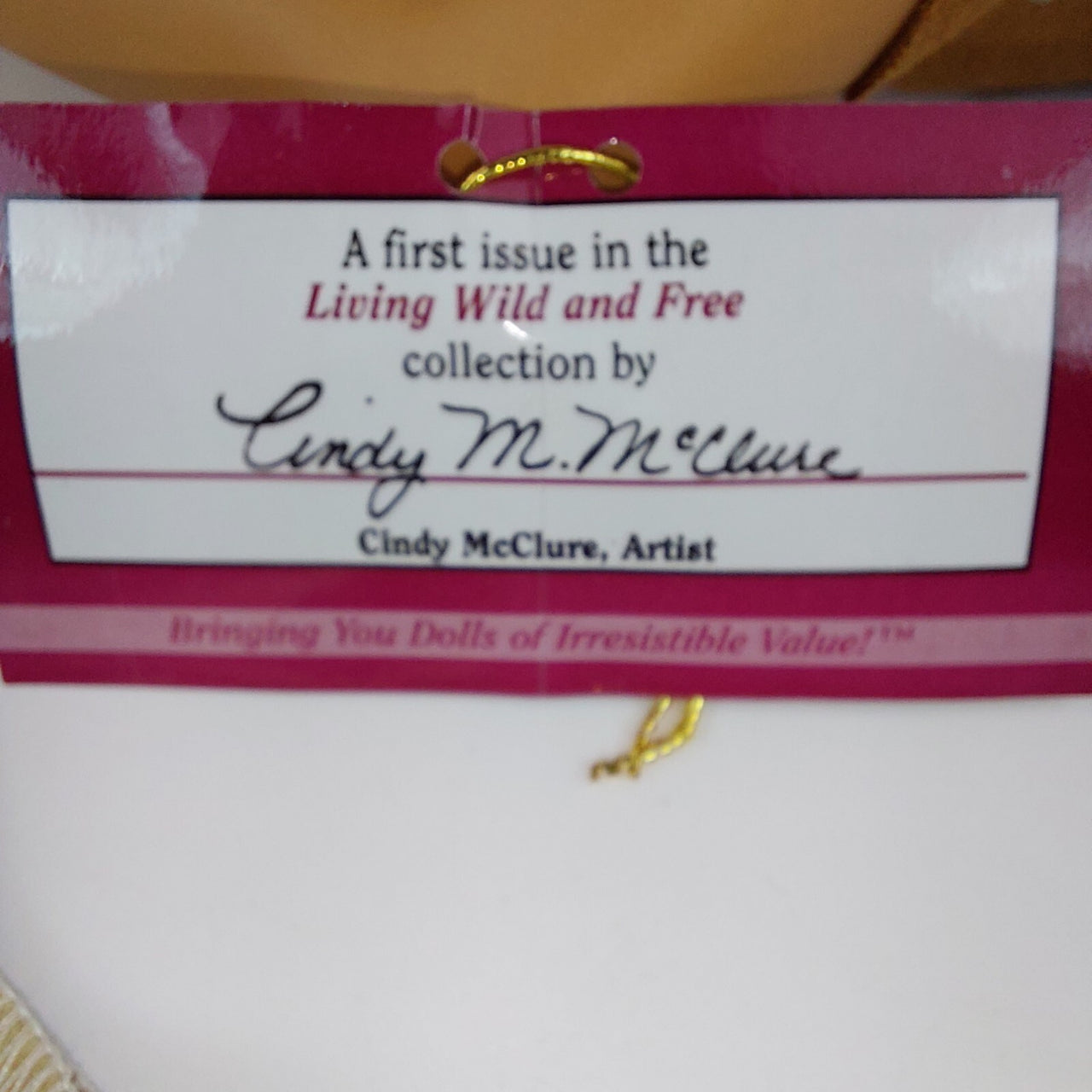 Ashton-Drake "Wind Whisperer" American Native Doll COA Mint Limited Edition figu22