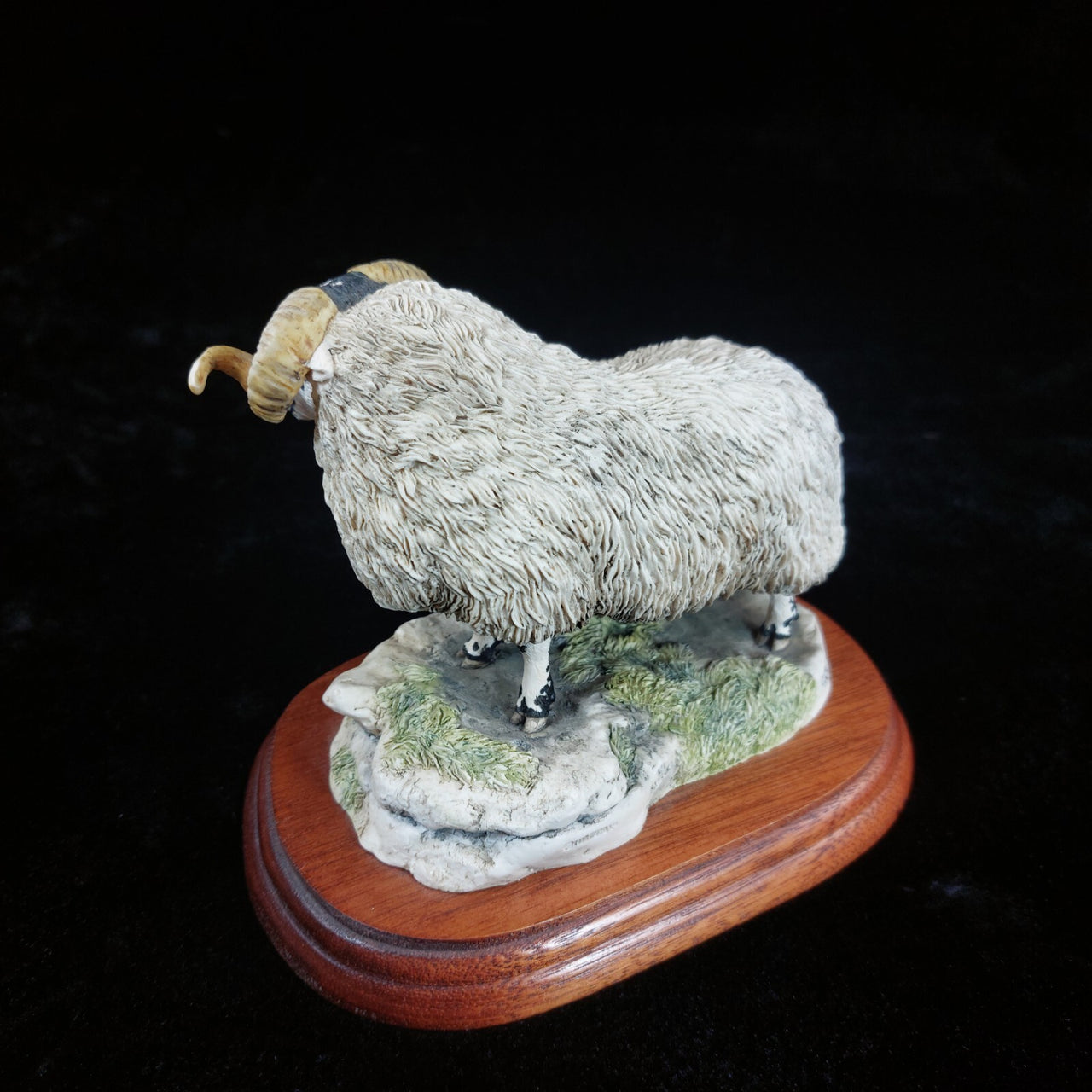 Border Fine Arts 1995 Black Faced Tup Figurine by Anne Wall The County Show7