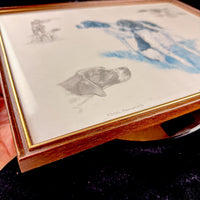 Thumbnail for Nigel Hemming Hunting Dogs Pointer Print Framed English Sporting Dog Art Pair 13