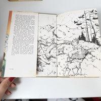Thumbnail for Collins Heidi &Heidi’s Children Illustrated Plague Doane 1973 1969 Book Set deco5