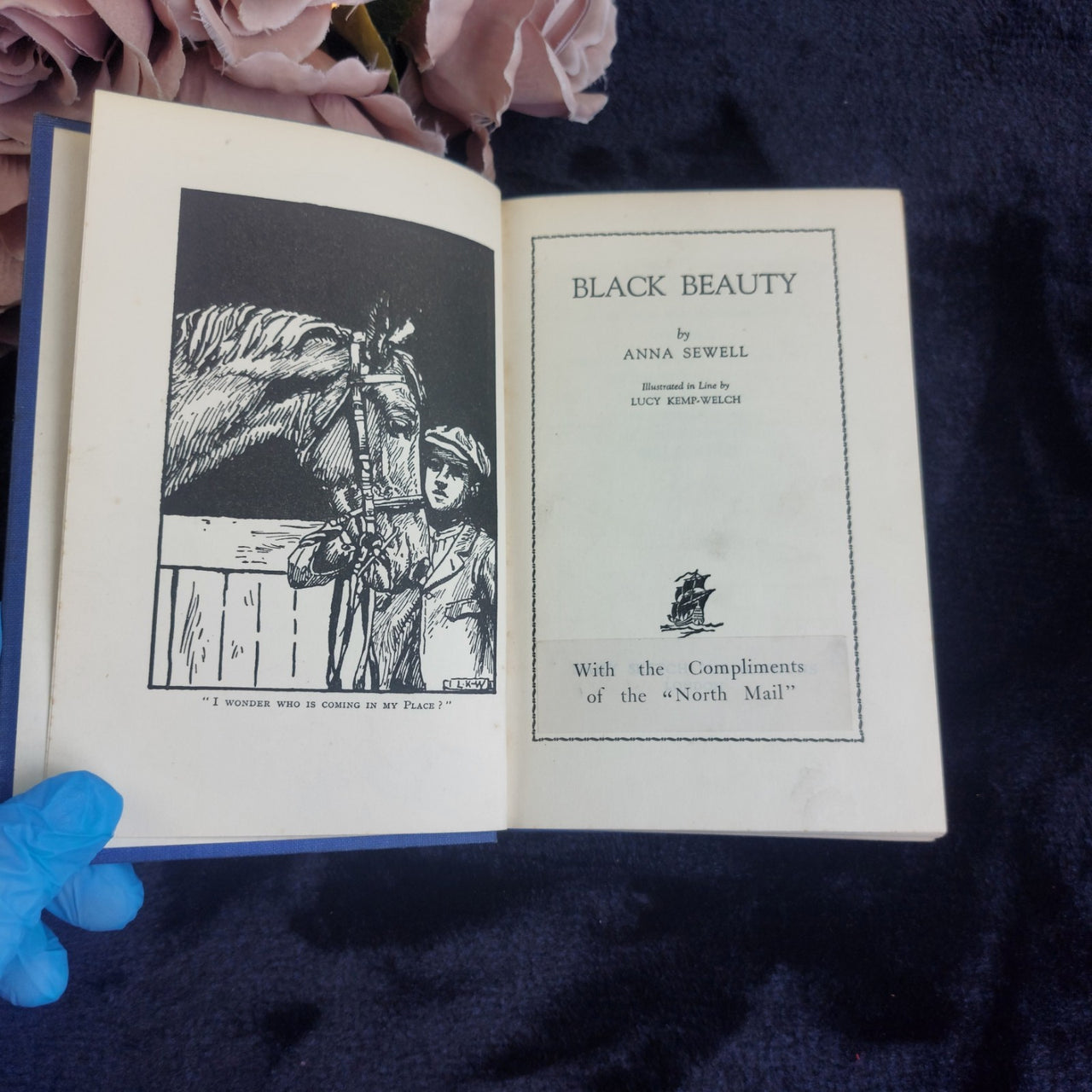 1930s Beauty Black Anna Sewell Illustrated Vintage Book Spine Blue Cloth Display4