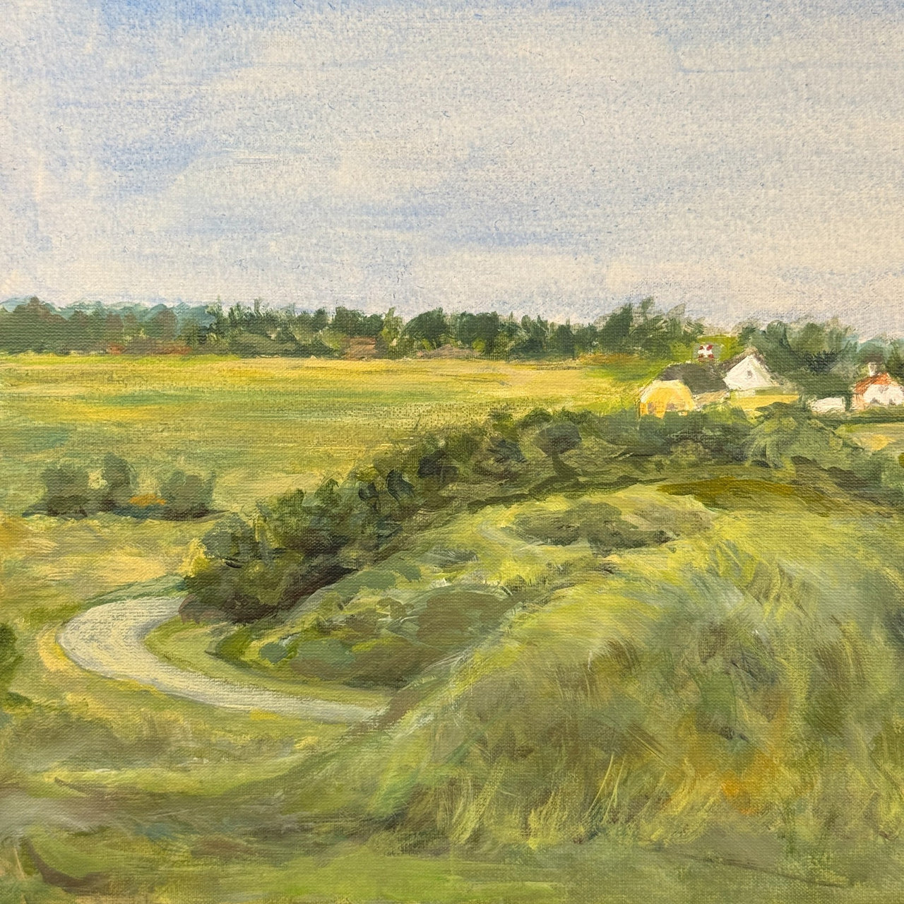 Danish Landscape Painting Vangsaa 2009 Original Signed by VTN Framed Art 40x30cm4