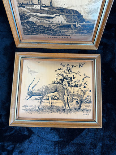 VINTAGE Copper Etchings framed Wild Animals and Tynemouth Castle  A Perfect Set1