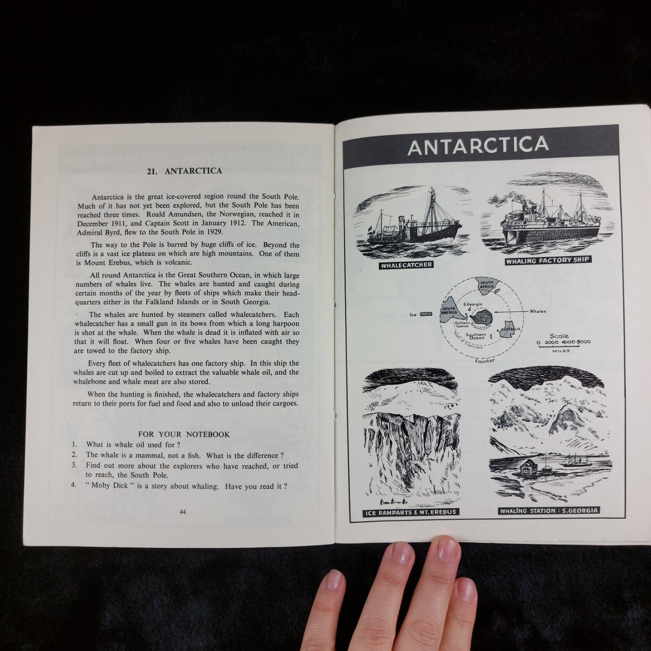 The Modern School Visual Geographies, 3 Book vintage Set 1950s Reprints Ornament7