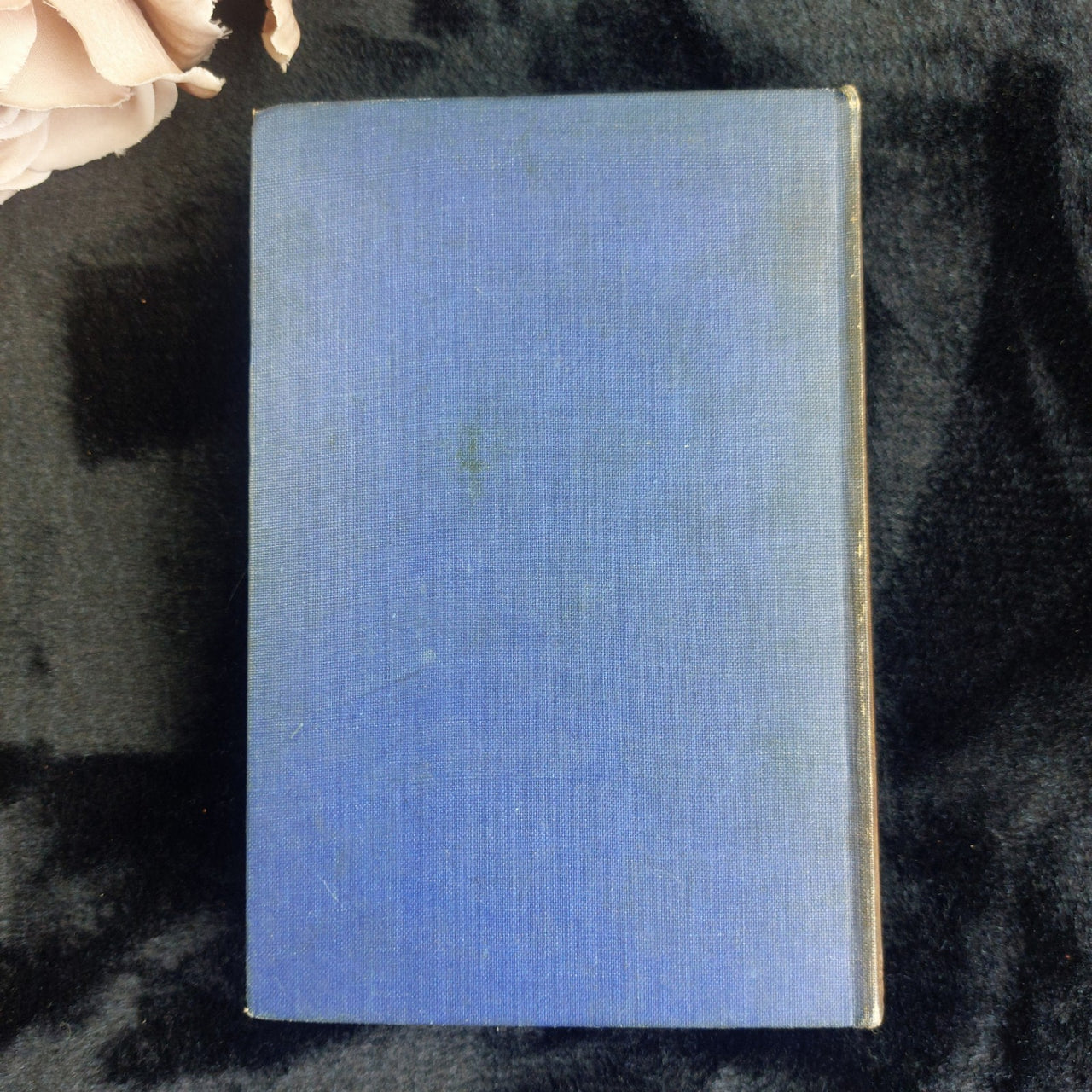 1930s Beauty Black Anna Sewell Illustrated Vintage Book Spine Blue Cloth Display12