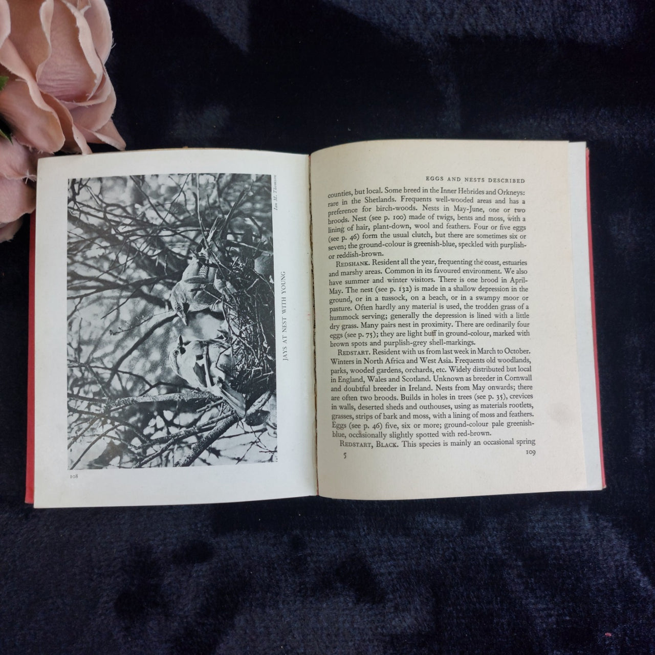 Westminster 1901 The Man From Glengarry Ralph Connor Canadian Pioneer Novel9