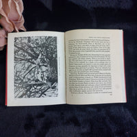 Thumbnail for Westminster 1901 The Man From Glengarry Ralph Connor Canadian Pioneer Novel9