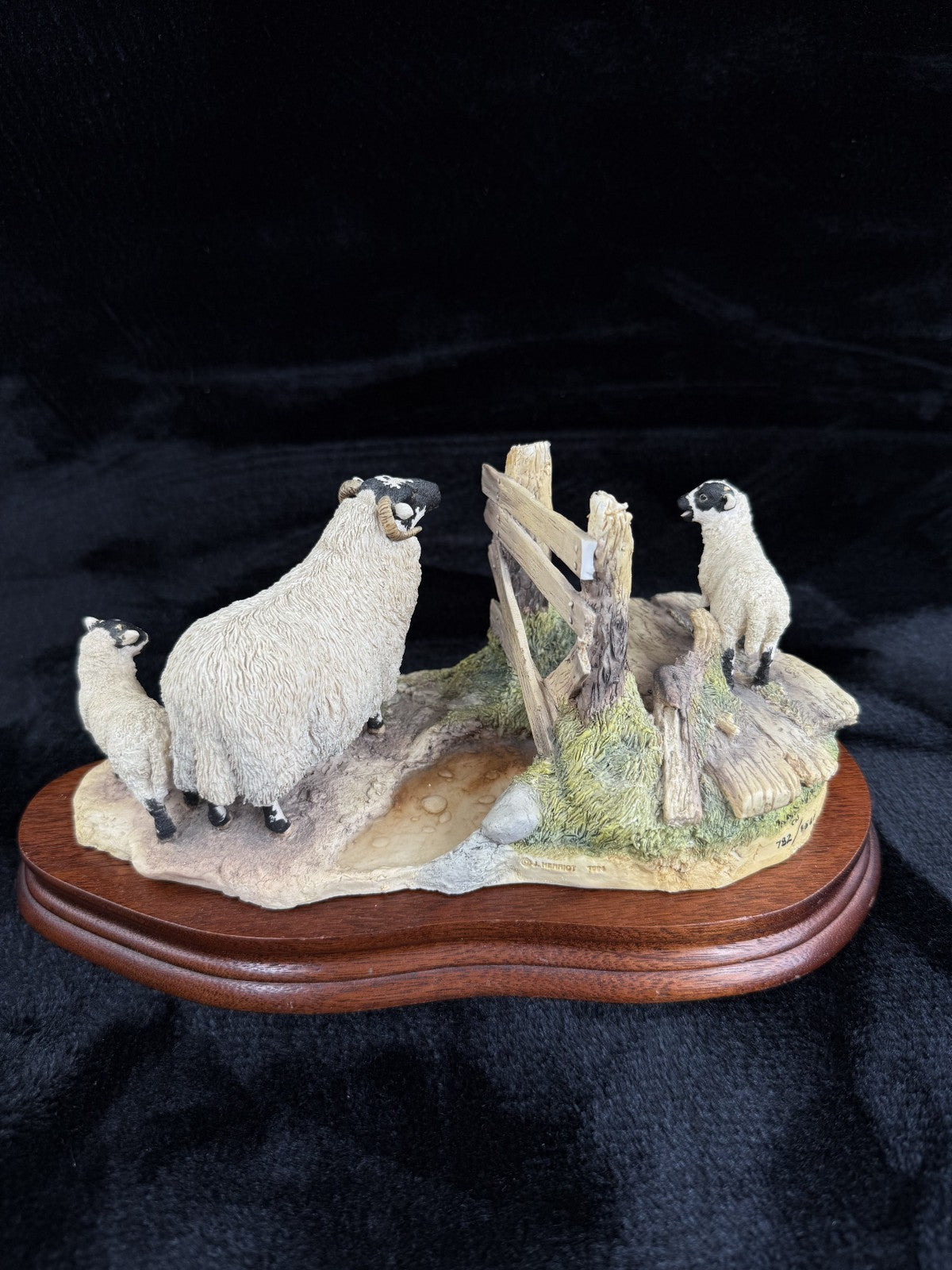 Border Fine Arts "Wrong Side of the Fence" Limited Edition sheep Figurine4