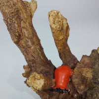 Thumbnail for Crown Staffordshire Art Fine -, Collectible Hand Painted Mouse Figurine Resin11
