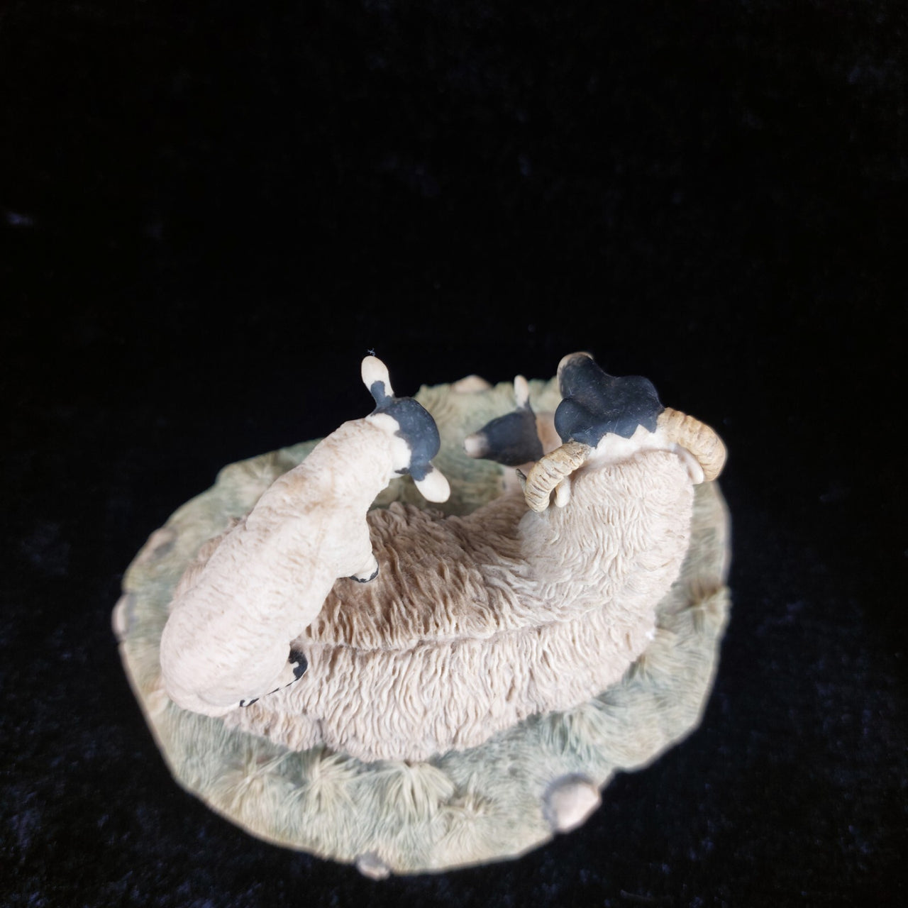 Border Fine Arts 1980s D Walton Scottish Black Face Sheep Family Highland5