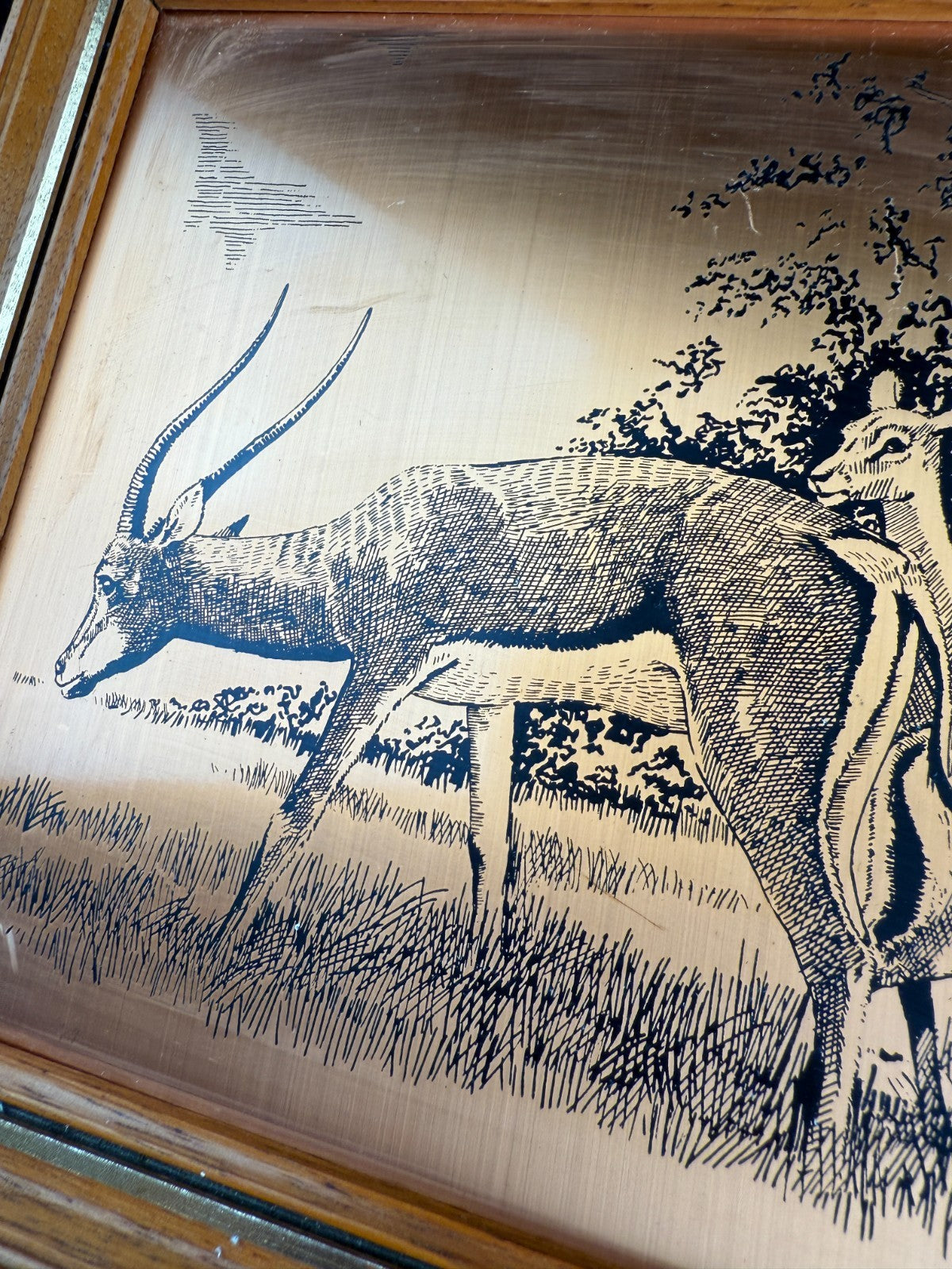 VINTAGE Copper Etchings framed Animals Wild and Tynemouth Castle - A Perfect Set7