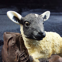 Thumbnail for Border Arts Fine Black Faced Lamb & Boots Figurine 2.5 in 2000 On The Farm Resin7