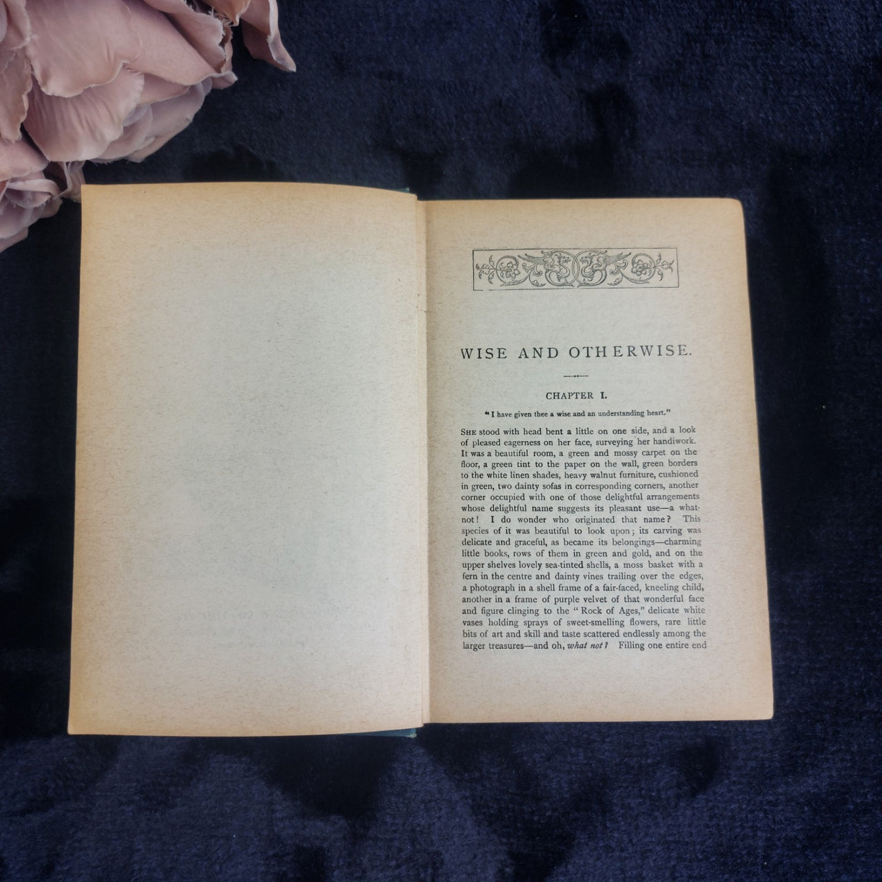 Novel Wise and Otherwise Pansy Illustrated  Antique Book4