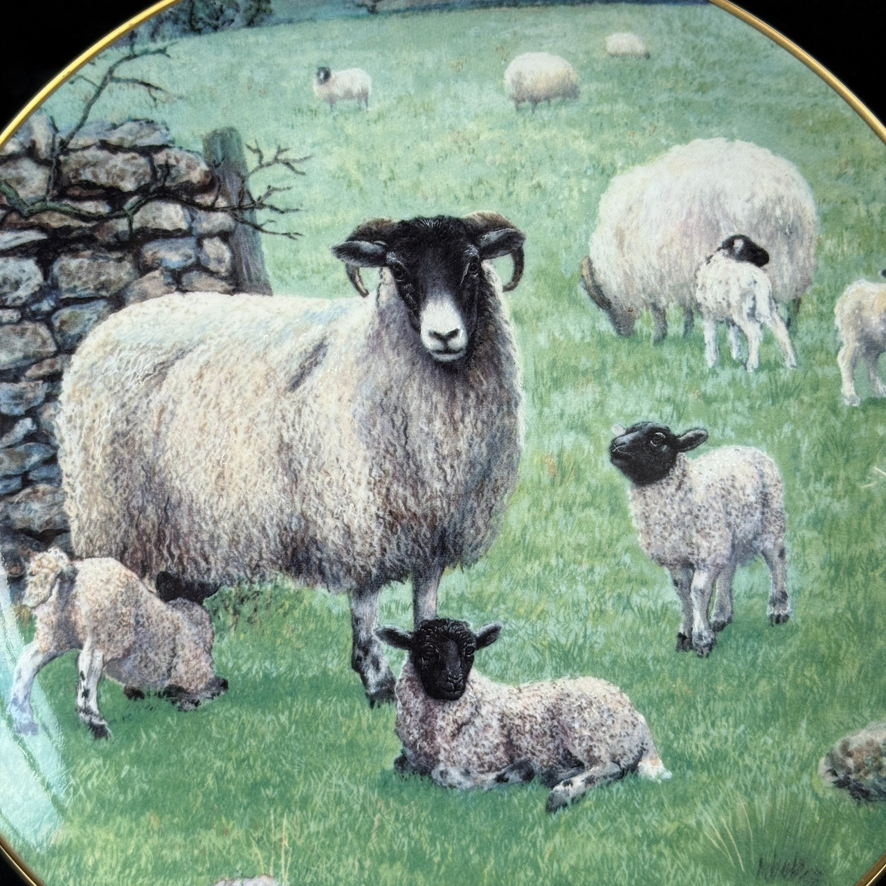 Border Fine Arts The "Spring Lambing" Collector's Plate James Herriot Series5