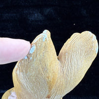 Thumbnail for Rare Vintage Pepinware HandPainted Rabbit Figurines Mr. & Mrs. Flopsy Wallasey11