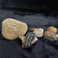 Thumbnail for M Leadbetter Cornwall Figurines 1978â80 Set of 4 Owl Hedgehog Rabbit Horse rar6