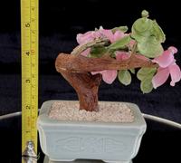 Thumbnail for Hand-Carved Bonsai Jade/Stone Tree Figurine - Pink Flowers & Green Leaves gift9