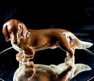 Rosenthal Dachshund Porcelain Figurine 1950s Hand Painted 8in See The Pics0