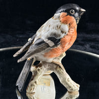 Thumbnail for 4* Goebel Vintage Bird Figurines 1960s W Germany HandPainted Porcelain Bird Lot19