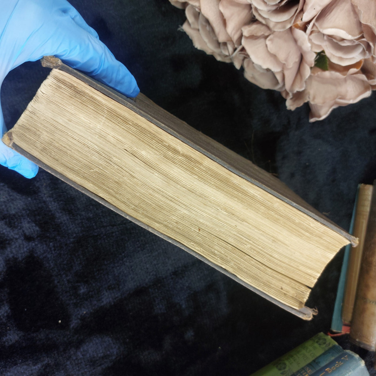 Mosheim Ecclesiastical History Theology Church Binding antique 1847 book gift2