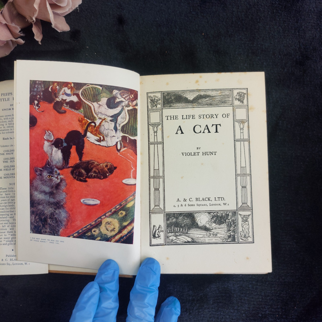 1933 Black Loki Persian Cat Book Violet Hunt Reprint Good with Dust Worn Jacket18