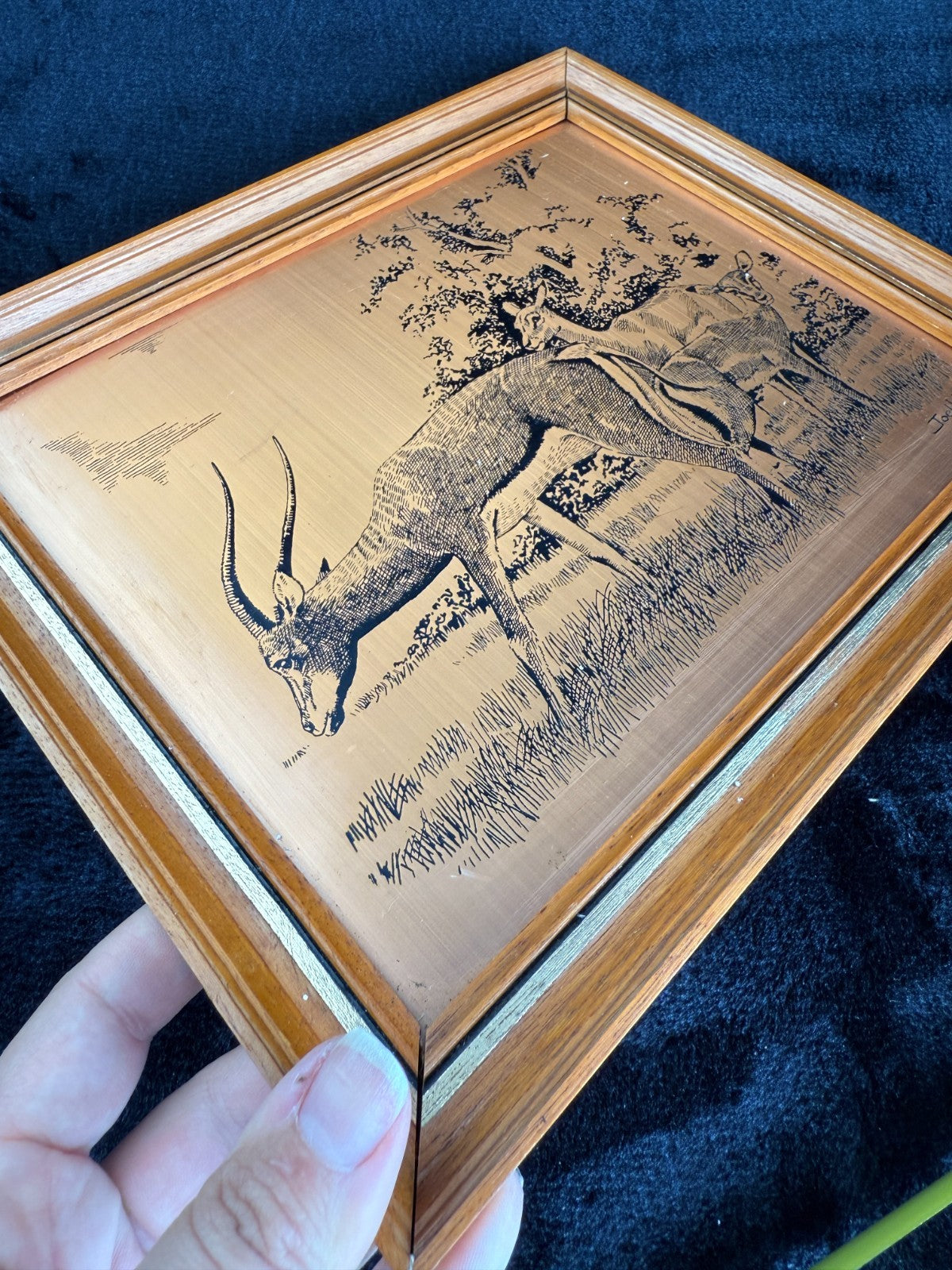 VINTAGE Copper Etchings framed Animals Wild and Tynemouth Castle - A Perfect Set8