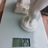 Thumbnail for Michelangelo David & Female Nude Sculpture Pair – 9.5