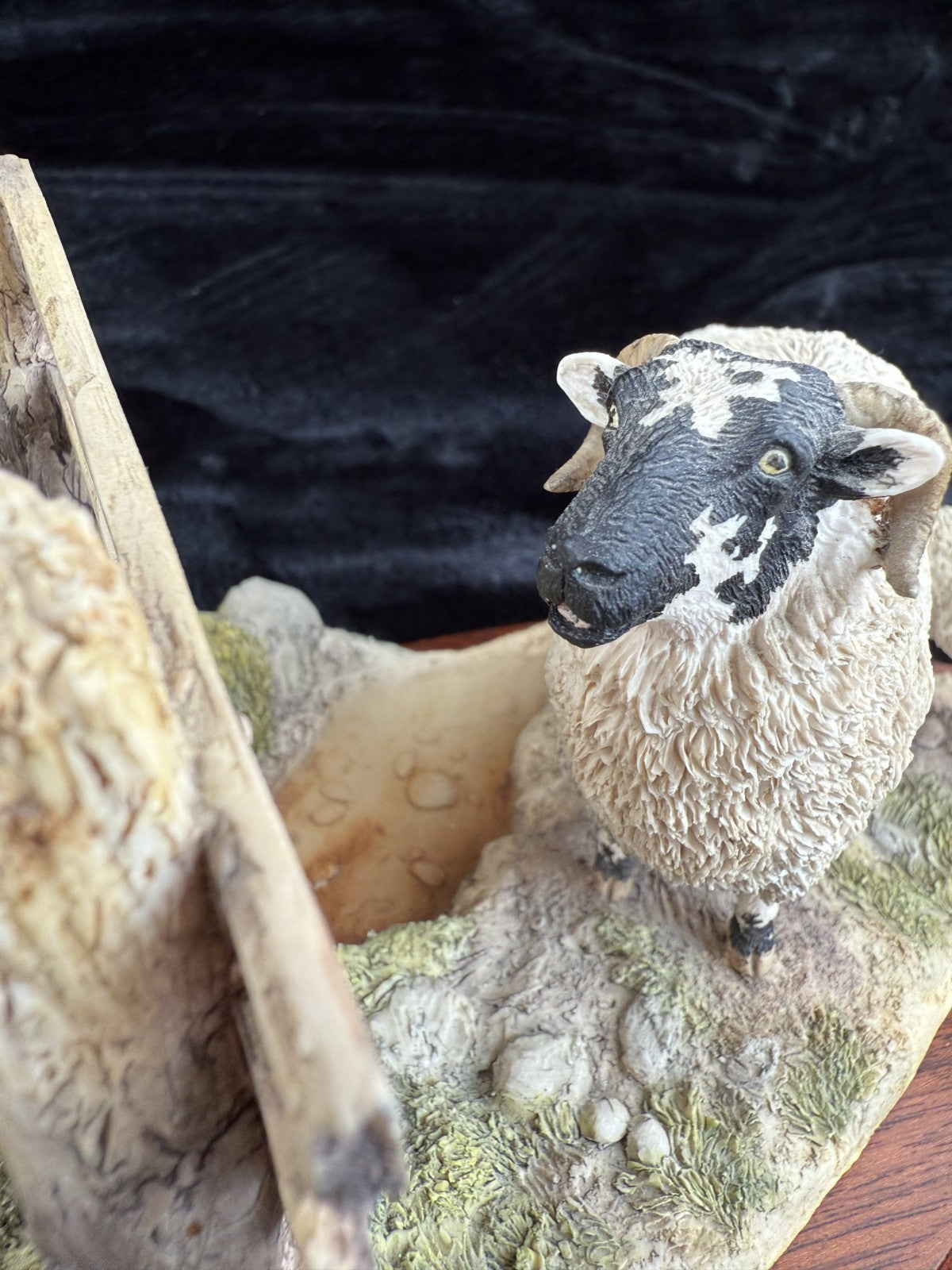 Border Fine Arts "Wrong Side of the Fence" Limited Edition sheep Figurine9