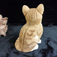 Thumbnail for Sherratt & Simpson Cat Sitting Figurine 55044 with Collar 1056g Ornament 8