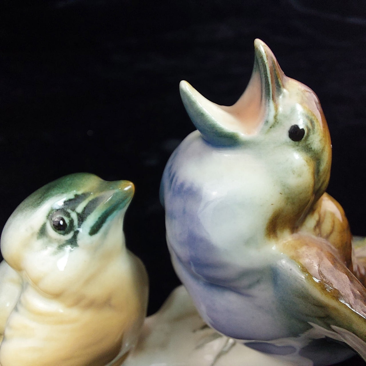 Karl Ens Volkstedt RareENS Porcelain Bird Figurine Pair – hand painted, german11