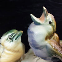 Thumbnail for Karl Ens Volkstedt RareENS Porcelain Bird Figurine Pair – hand painted, german11