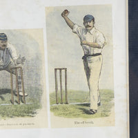 Thumbnail for Lucien Davis The Critics Cricket Print Framed 19thC Humour & Technique Scenes8