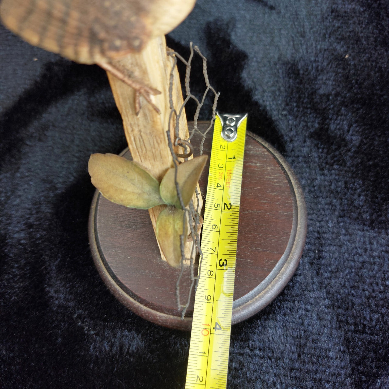 Fine Border Arts Wren on Post RB9 1990 Figurine Scotland Hand Made Bird Sculptur3