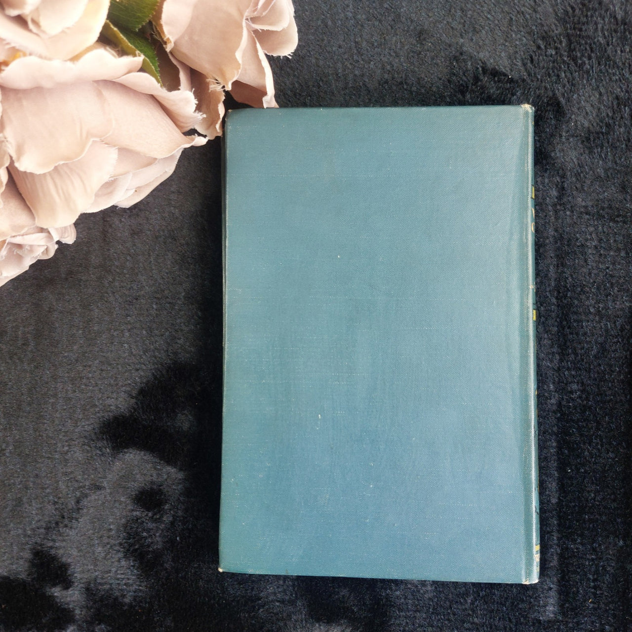 Novel Wise and Otherwise Pansy Illustrated  Antique Book6