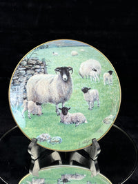 Thumbnail for Border Fine Arts The 
