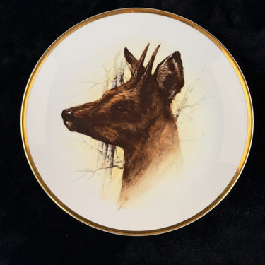 Spode Wildlife Series Fox Plate Bohemia Deer Czechoslovakia Art Bone China Decor1