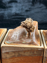 Thumbnail for Studio Landscape Pottery Lidded Boxes Set – Handmade Ceramic Art Storage Jars3