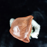 Thumbnail for Antique Carl Scheidig Figurine Gentleman with Dove - Porcelain Type 1906-19404